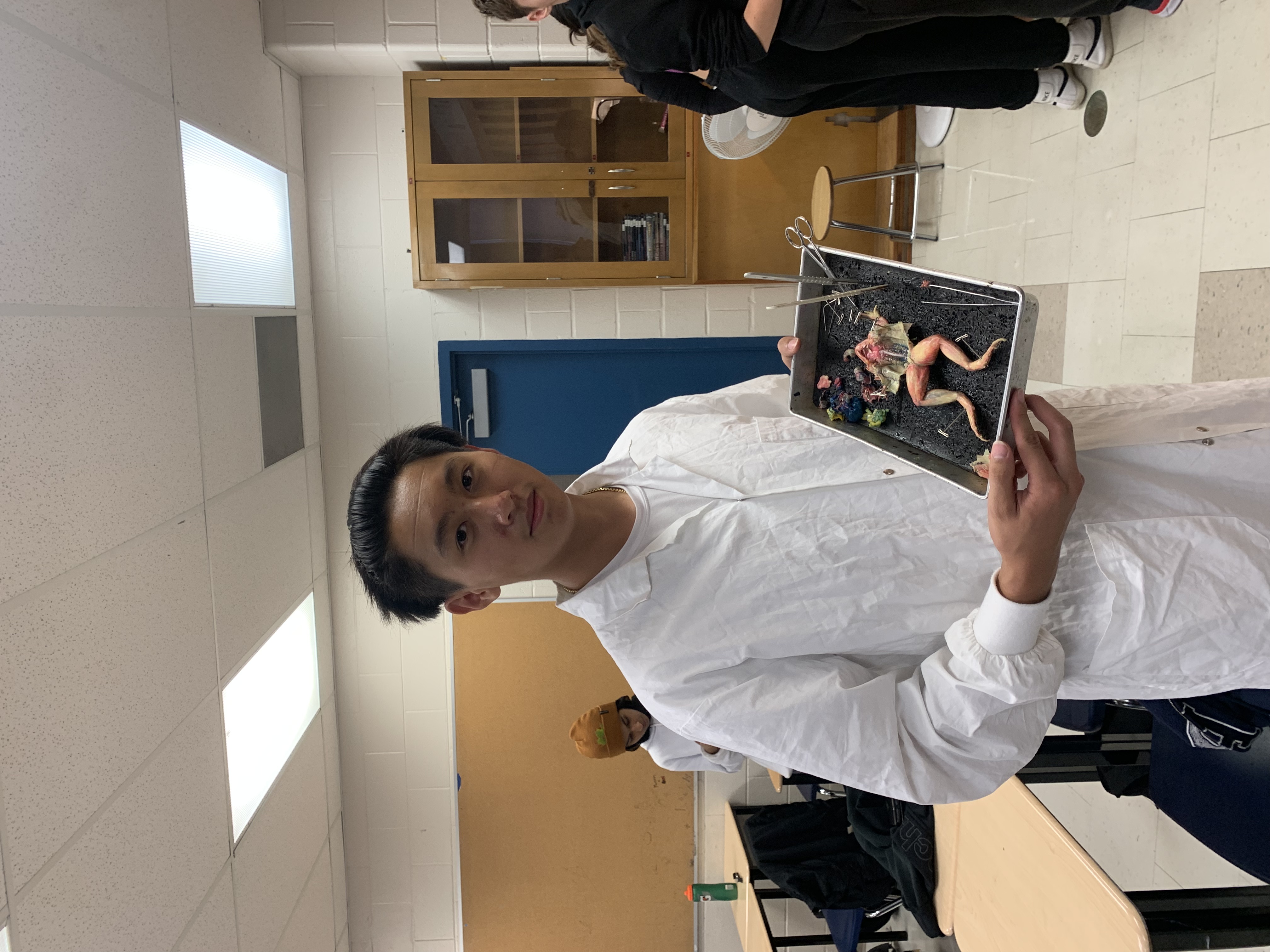 Grade 10 Image